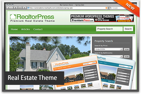 real estate script